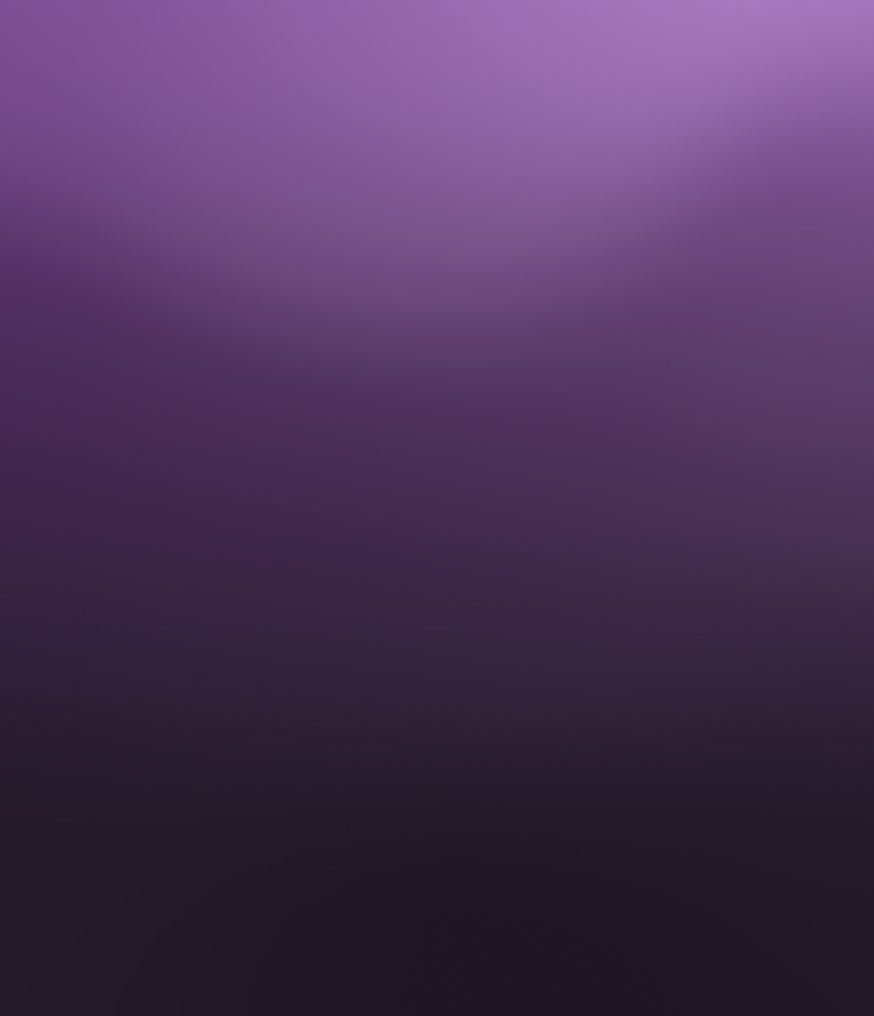 Custom Software Integration