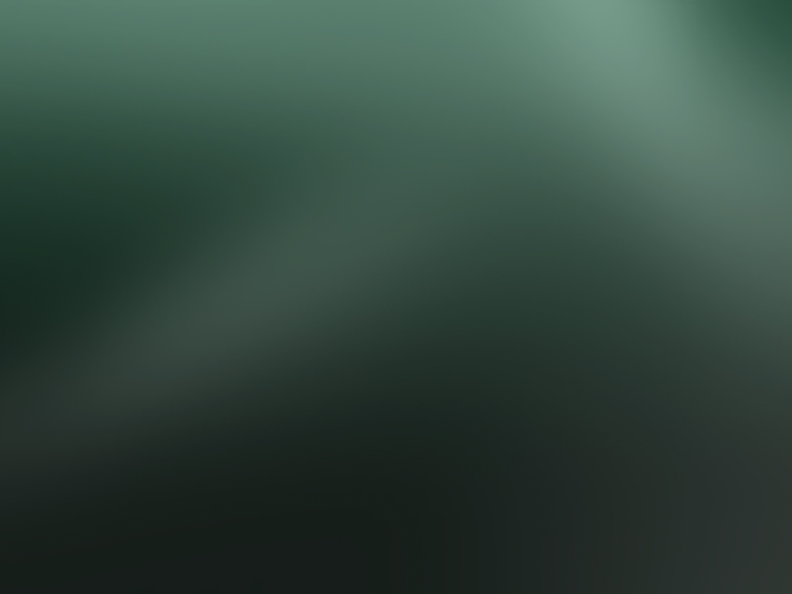 ERP Implementation & Customization